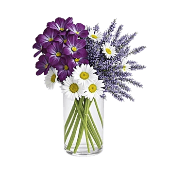 Delicate Petal Cascade