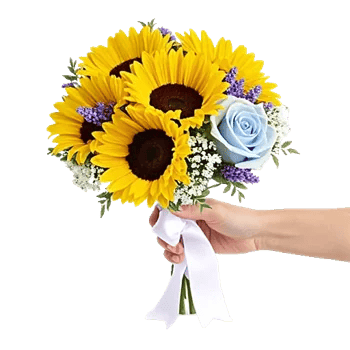 Twinkling Sunflower Dance