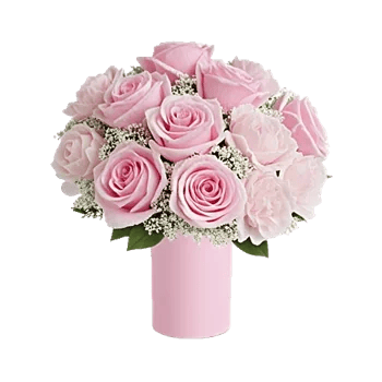 Pink Pastel Roses