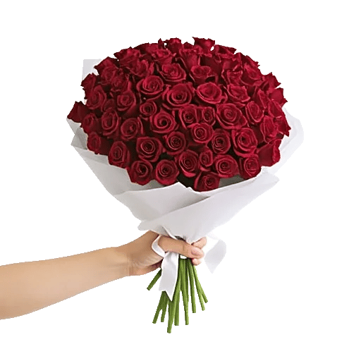 Crimson Rose Elegance