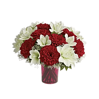 Crimson Blossom Harmony