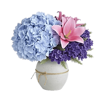 Serene Petal Harmony