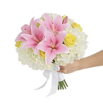 Blossom Harmony Display