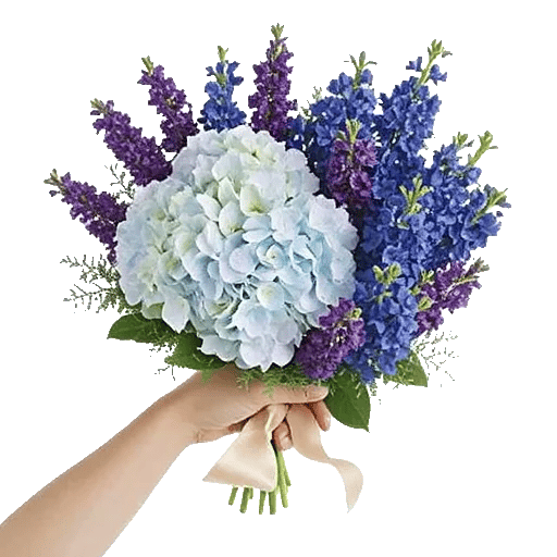 Sapphire Bloom Whisper