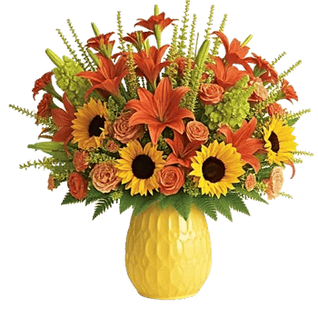 Tropical Sunflower Burst