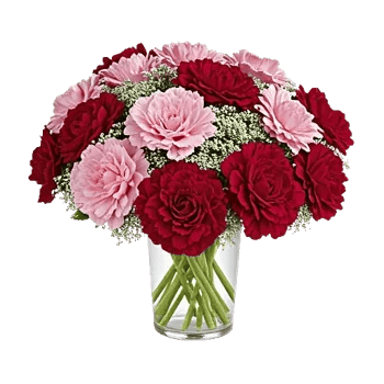 Delicate Petal Cascade