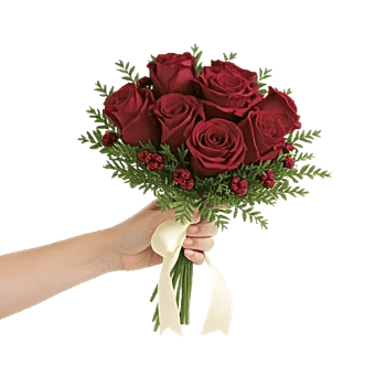 Crimson Rose Elegance