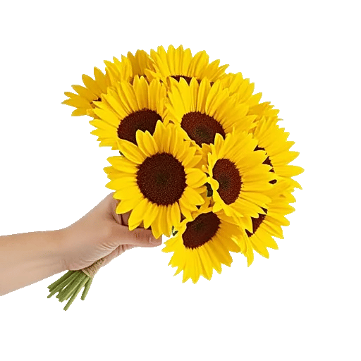 Twinkling Sunflower Dance