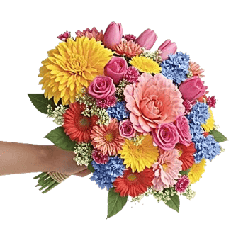 Soft Sunlight Blooms