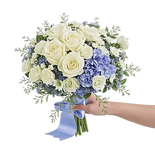 Serene Petal Harmony