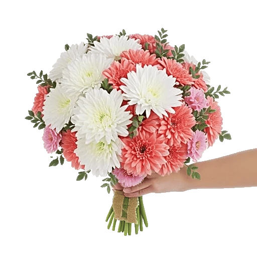 Blushing Rose Symphony