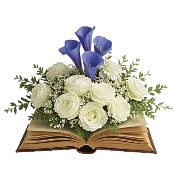 Elegant Calla Lilies