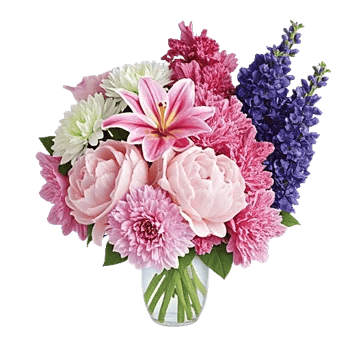 Petal Radiance Bliss