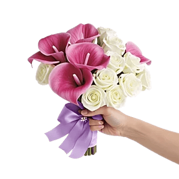 Elegant Calla Lilies