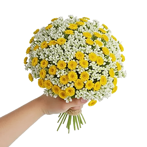 Blossom Harmony Display