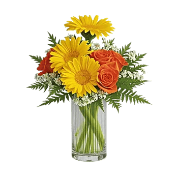 Petal Radiance Bliss