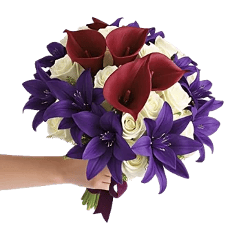 Elegant Calla Lilies