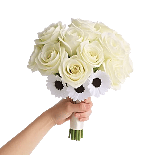 Ivory Garden Grace