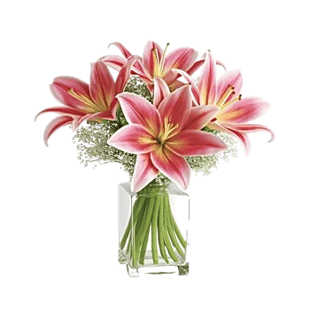 Graceful Lily Display