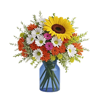 Radiant Bloom Cascade