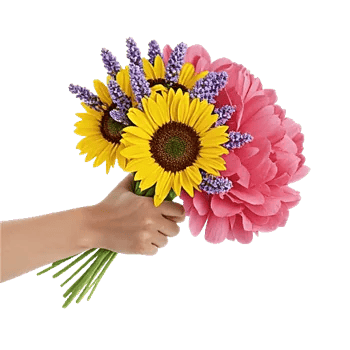 Twinkling Sunflower Dance