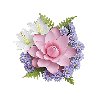 Serenity Orchid Bloom