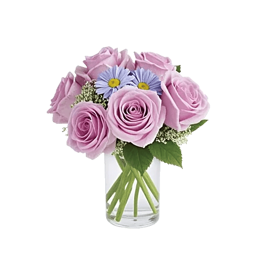 Lavender Bloom Grace