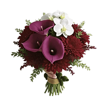 Elegant Calla Lilies