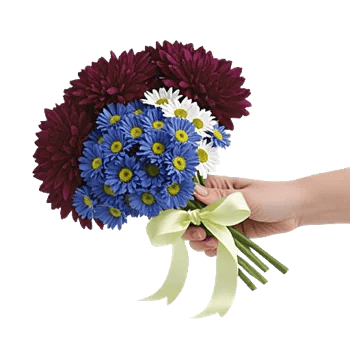 Blossom Petal Serenity