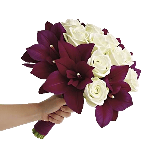 Blushing Rose Symphony