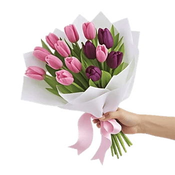 Velvet Tulip Display