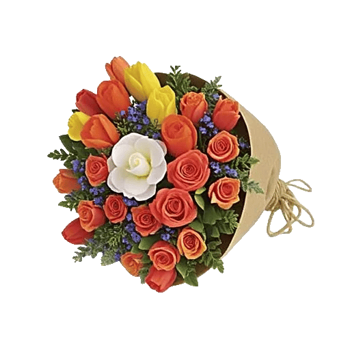Tulip Rose Mix
