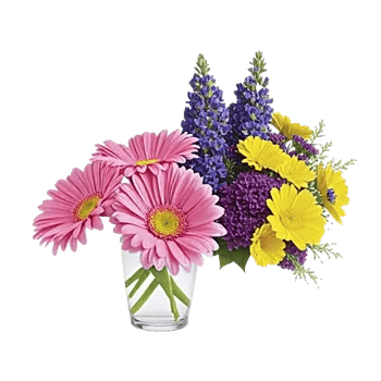 Petal Radiance Bliss