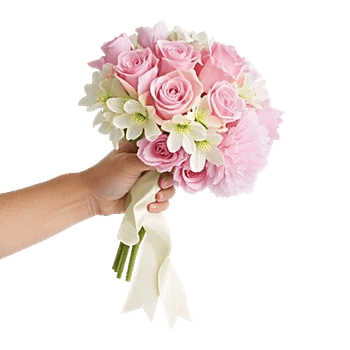 Petal Grace Harmony
