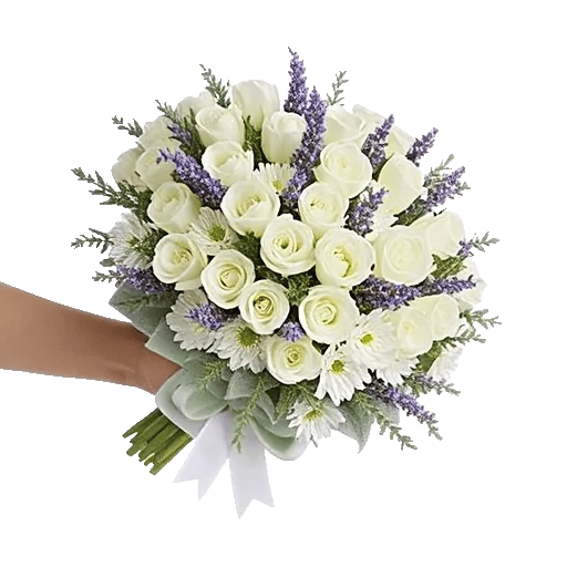 Ivory Garden Grace