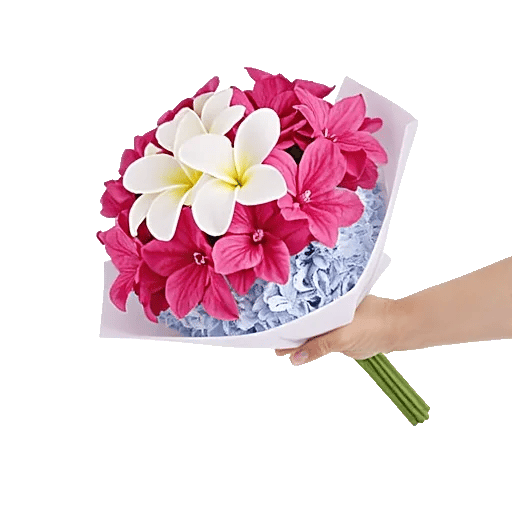 Plum Blossom Radiance