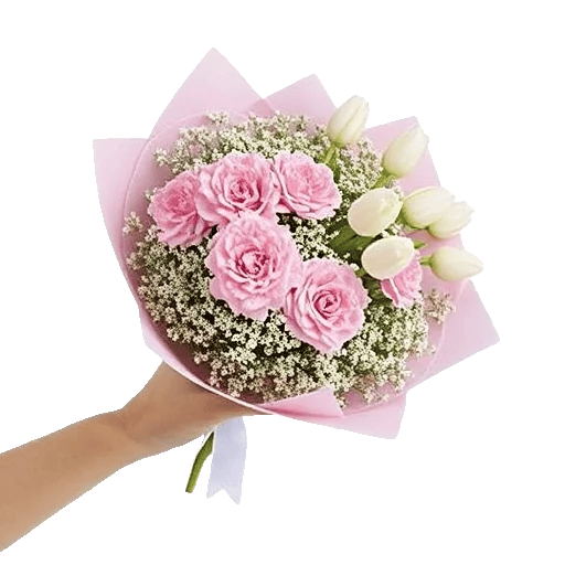Pastel Pink Roses