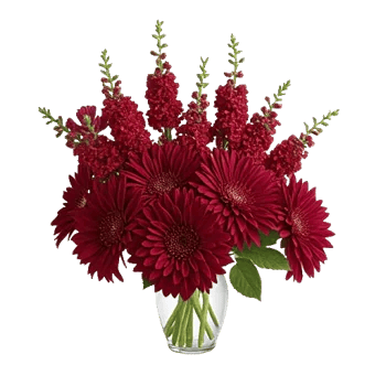 Crimson Blossom Harmony