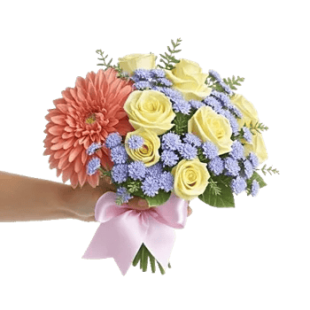 Blushing Rose Symphony