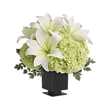 Ivory Blossom Radiance