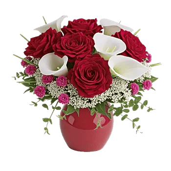 Crimson Blossom Harmony