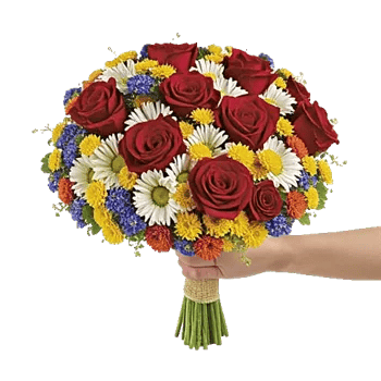 Blushing Rose Symphony