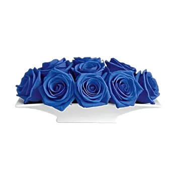 Elegant Blue Roses
