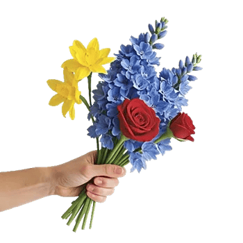 Blossom Petal Serenity