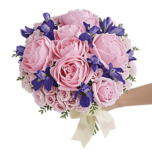 Peony Petal Harmony