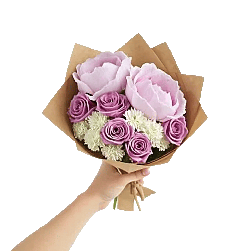 Peony Petal Harmony