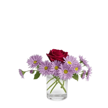 Crimson Rose Elegance