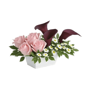 Delicate Petal Cascade