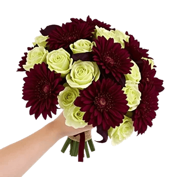 Elegant Calla Lilies