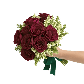 Delicate Petal Cascade